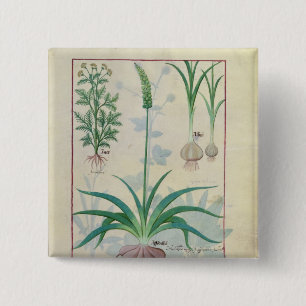 Knoblauch und andere Pflanzen Button