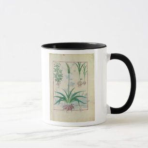 Knoblauch und andere Pflanzen Tasse