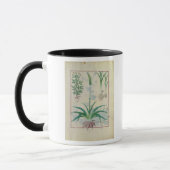 Knoblauch und andere Pflanzen Tasse (Links)