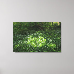 Knoblauchfleck Leinwanddruck