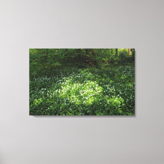 Knoblauchfleck Leinwanddruck (Vorderseite)