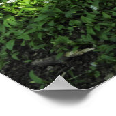 Knoblauchfleck Poster (Ecke)