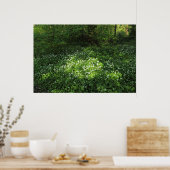 Knoblauchfleck Poster (Küche)