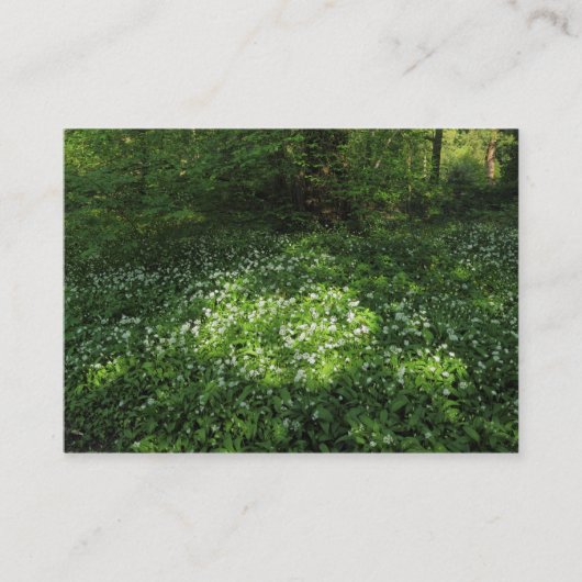 Knoblauchfleck Visitenkarte (Vorderseite)