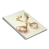 Knoblauchknollen 2005 notizblock (Rechte Seite)