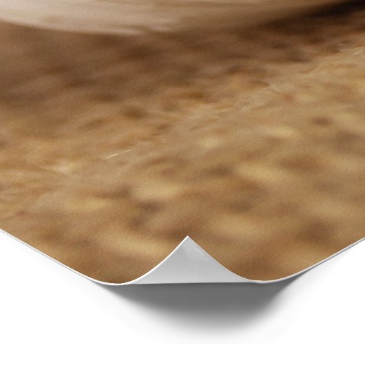 Knoblauchknollen Poster (Ecke)