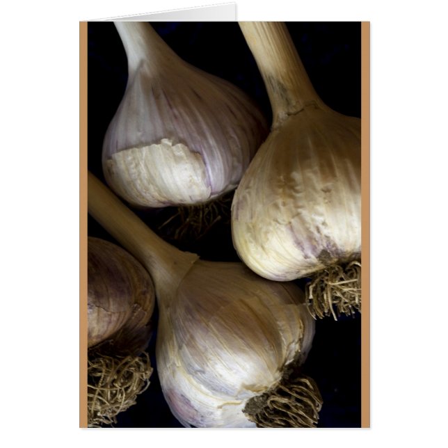 Knoblauchköpfe (Vorne)