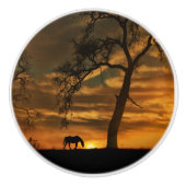 Knobs und Puls des Südwestens Keramikknauf (Vorderseite)