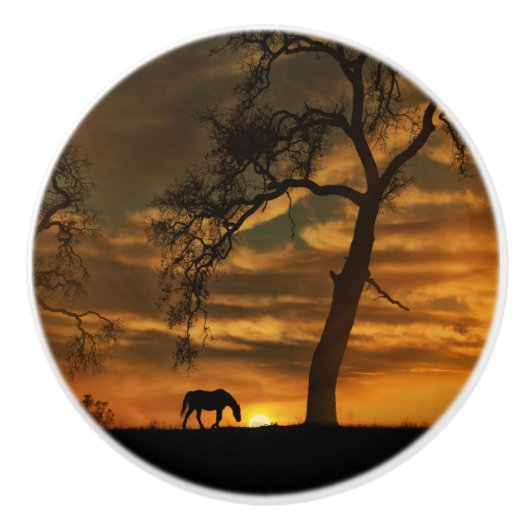 Knobs und Puls des Südwestens Keramikknauf (Vorderseite)