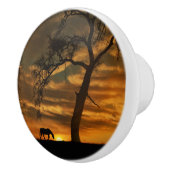 Knobs und Puls des Südwestens Keramikknauf (Rechts)