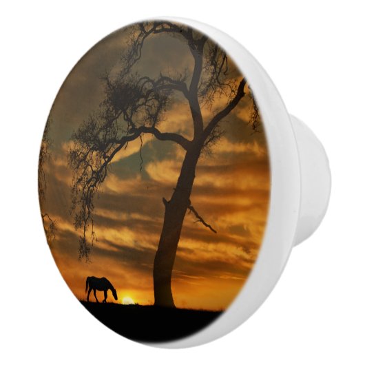 Knobs und Puls des Südwestens Keramikknauf (Rechts)