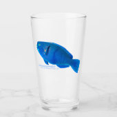 Knobsnout Parrotfish Glass Cup Glas (Vorderseite)