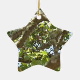 Knöchel Keramik Ornament