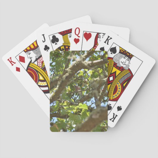 Knöchel Spielkarten (Rückseite)