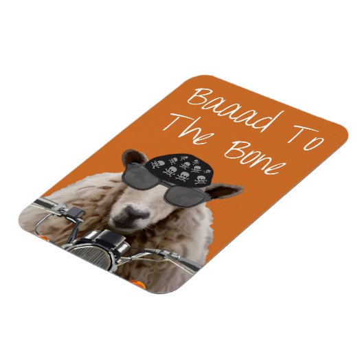 Knochen 2 magnet (Linke Seite)