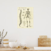 Knochen Anatomie Chart der Wirbelsäule Poster (Küche)