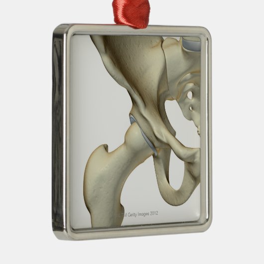 Knochen der angesagten 5 silbernes ornament (Rechts)