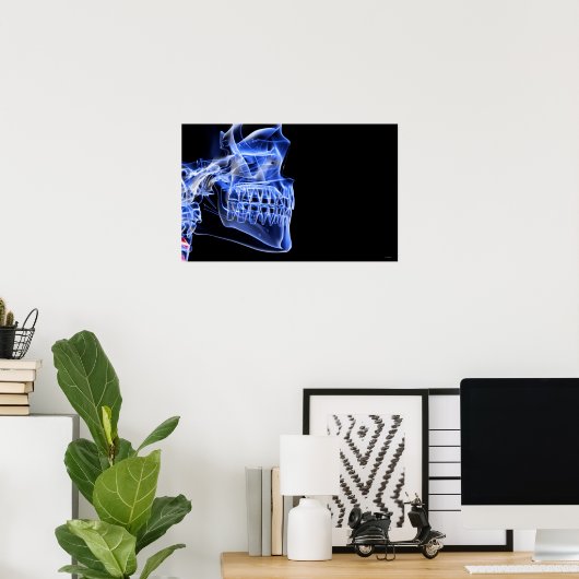 Knochen der Kiefer Poster (Heimbüro)