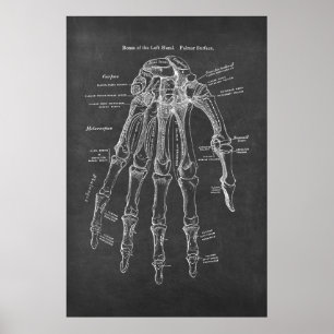 Knochen der Links Hand Palmar Oberflächenanatomie Poster