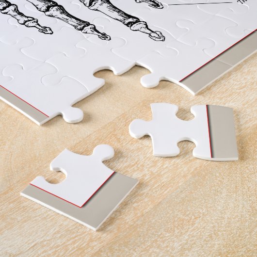 Knochen der menschlichen Hand Puzzle (Seite)