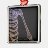 Knochen der Schulter Silbernes Ornament (Links)