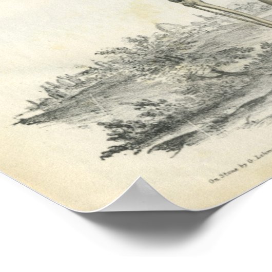 Knochen der Skelettkunst Print Poster (Ecke)