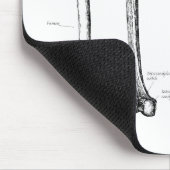 Knochen der unteren Glieder Mousepad (Ecke)