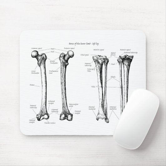 Knochen der unteren Glieder Mousepad (Mit Mouse)