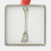Knochen des Beines Ornament Aus Metall (Vorne)
