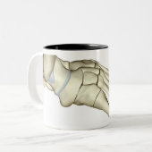 Knochen des Fußes 2 Zweifarbige Tasse (Vorderseite Links)