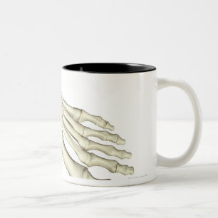 Knochen des Fußes 2 Zweifarbige Tasse