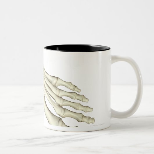 Knochen des Fußes 2 Zweifarbige Tasse (Rechts)