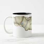 Knochen des Fußes 2 Zweifarbige Tasse (Links)