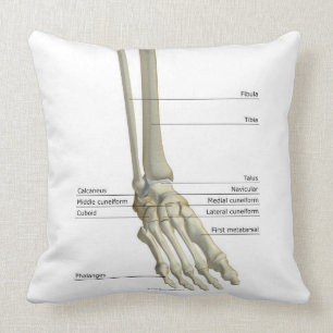 Knochen des Fußes 6 Kissen
