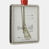 Knochen des Fußes 6 Ornament Aus Metall (Rechts)