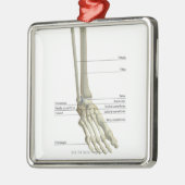 Knochen des Fußes 6 Ornament Aus Metall (Links)