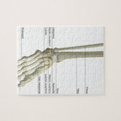 Knochen des Fußes 6 Puzzle (Horizontal)