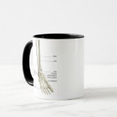 Knochen des Fußes 6 Tasse (Vorderseite Links)