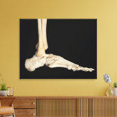 Knochen des Fußes Leinwanddruck (Insitu (Wohnzimmer))