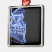 Knochen des Kiefers Ornament Aus Metall (Links)