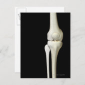 Knochen des Knies 4 Postkarte (Vorne/Hinten)