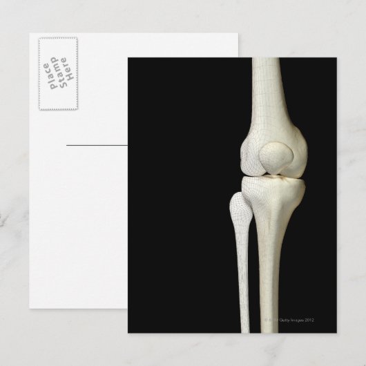 Knochen des Knies 4 Postkarte (Vorne/Hinten)