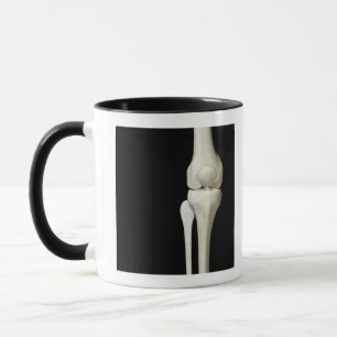 Knochen des Knies 4 Tasse