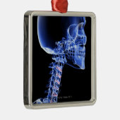 Knochen des Kopfes und des Halses Silbernes Ornament (Rechts)
