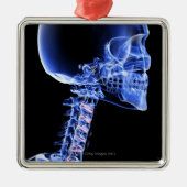 Knochen des Kopfes und des Halses Silbernes Ornament (Vorne)