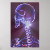 Knochen des Kopfes und des Nackens 5 Poster (Vorne)
