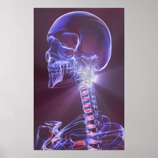 Knochen des Kopfes und des Nackens 5 Poster (Vorne)