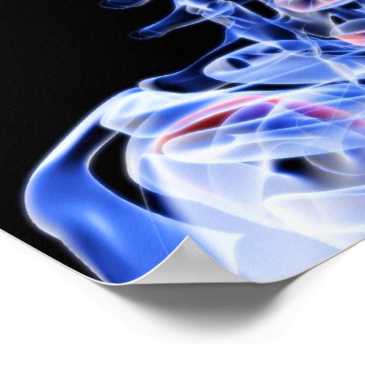 Knochen des Kopfes und des Nackens Poster (Ecke)