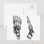 Knochen des menschlichen foor. postkarte (Vorne/Hinten)