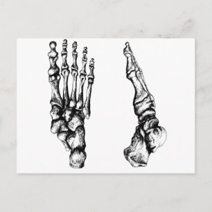 Knochen des menschlichen foor. postkarte